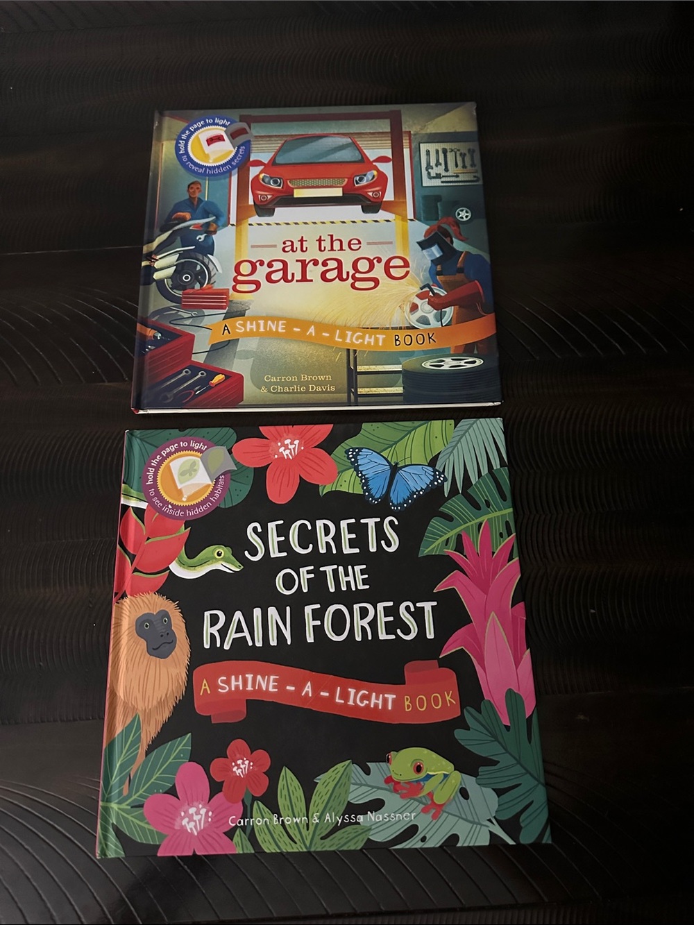 Usborne Shine-A-Light Books